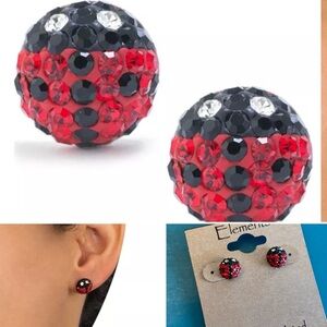 Red and Black Crystal ladybug Earrings